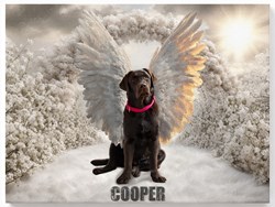 Hund mit Engelsflügel - Beispiel