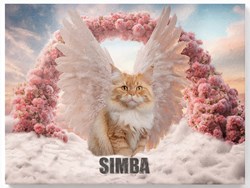 Katze mit Engelsflügel auf Wolken - Beispiel