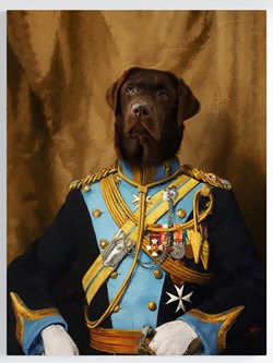 Royales Portrait - Offizier Stil