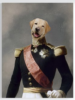 Royales Portrait - Offizier Stil