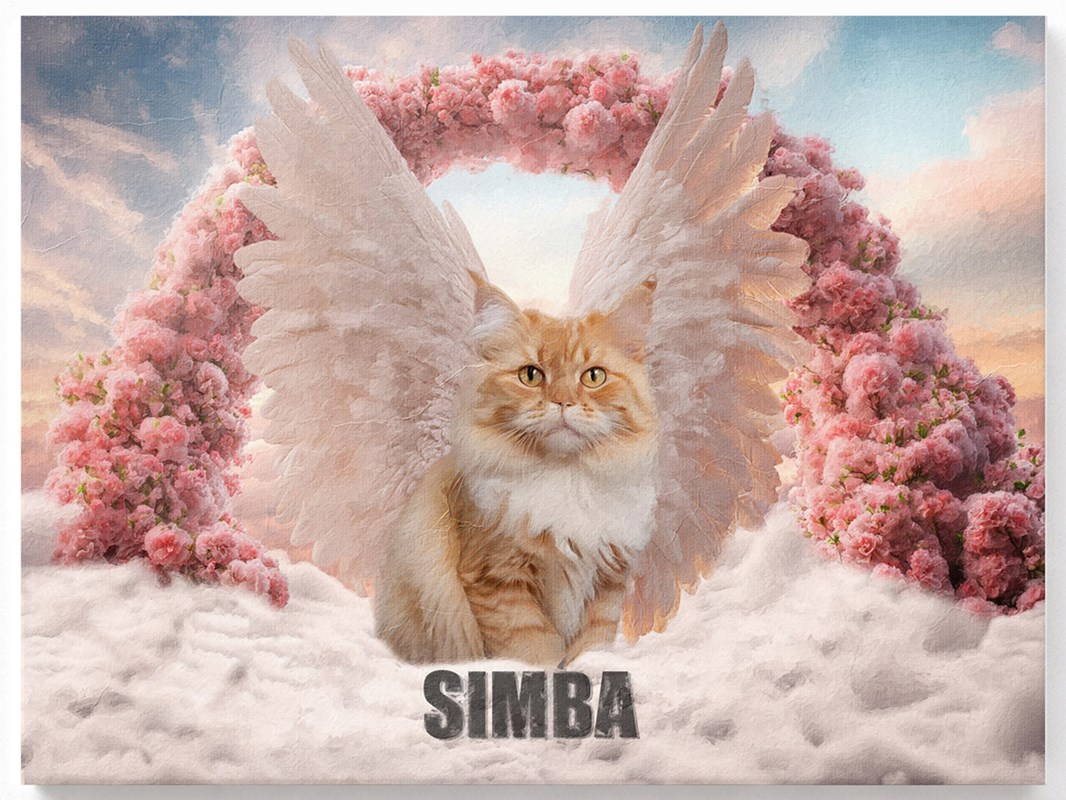 Katze mit Engelsflügel auf Wolken - Beispiel