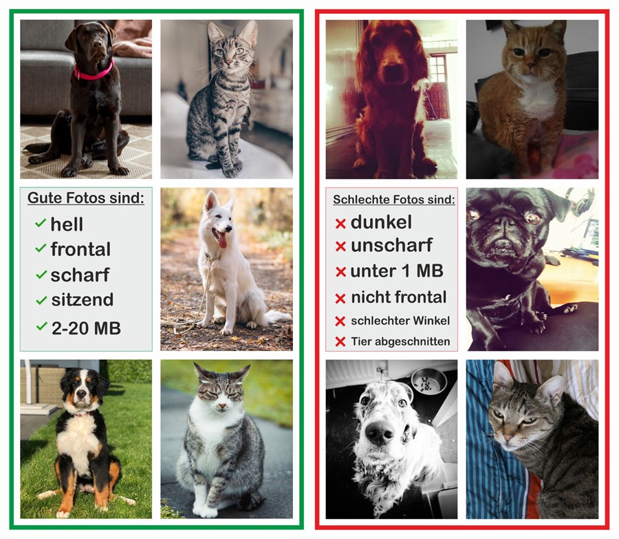 Wichtige Info zur Fotoqualität