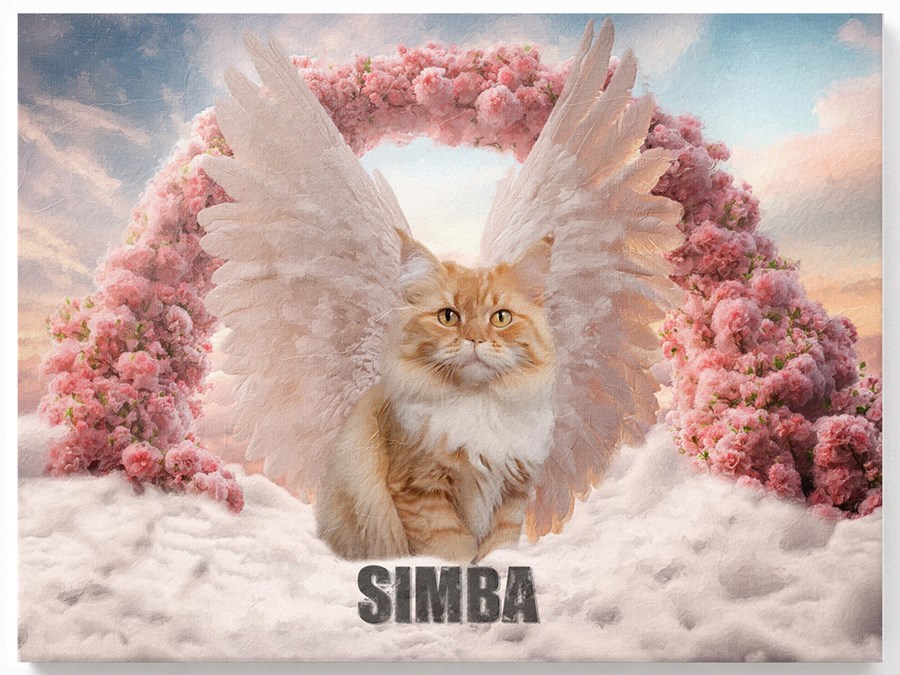 Katze mit Engelsflügel auf Wolken - Beispiel