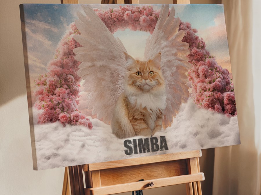 Katze mit Engelsflügel